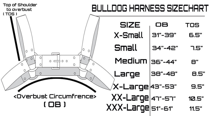 Bulldog Duo Tone Unisex torso leather Harness DSFusion Dark Star Fusion Pawstar goth pastel kawaii lolita harajuku fashion cybergoth punk cyberpunk rave raver festival dog fashion for furry furriesBulldog Duo Tone Unisex torso leather Harness DSFusion Dark Star Fusion Pawstar goth pastel kawaii lolita harajuku fashion cybergoth punk cyberpunk rave raver festival dog fashion for furry furries