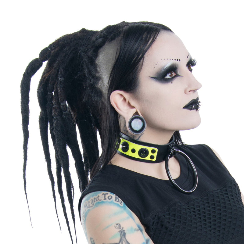 Doomspine Ring Collar - Pawstar dsfusion Collar leather, ship-15, ship-15day