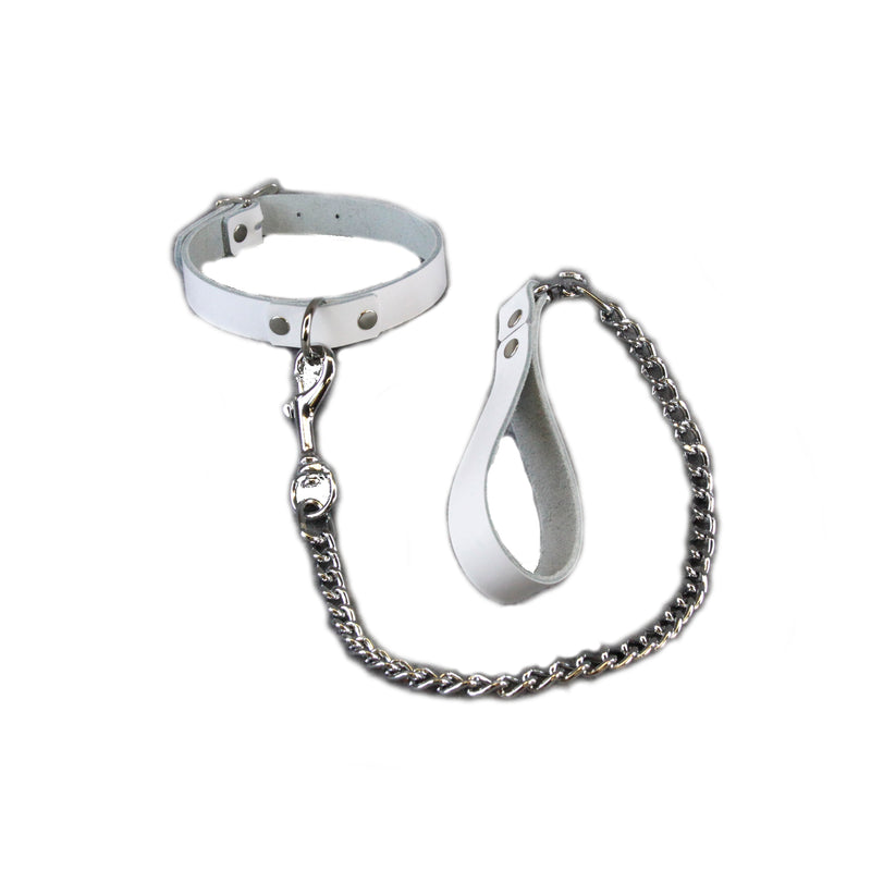 D-Ring Collar & Leash Combo