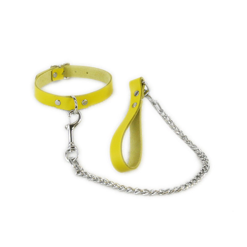 D-Ring Collar & Leash Combo